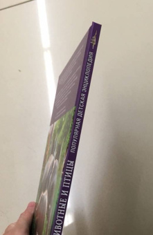 Джунгли. Животные и птицы