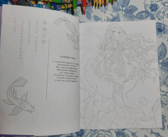 Anime Art. Путешествие во времени. Книга для творчества в стиле аниме и манга