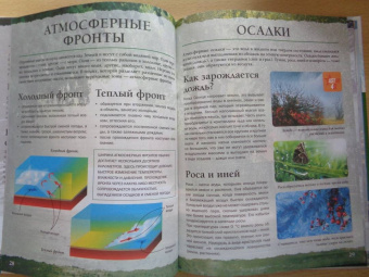 Третьякова, Ликсо, Кошевар: Планета Земля