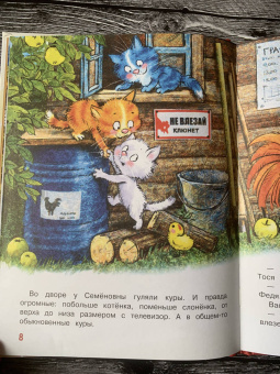Зенюк, Линицкий: Большие гонки