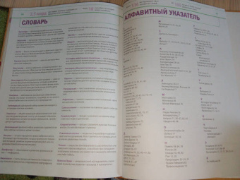 Дмитрий Лукашанец: Тело человека