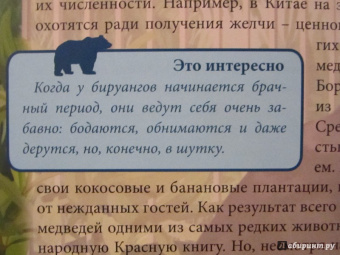 Ярослава Соколова: Хочу знать. Медведи