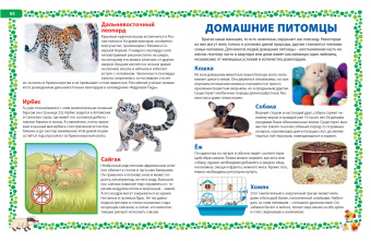 Большая книга о животных. Иллюстрированная энциклопедия