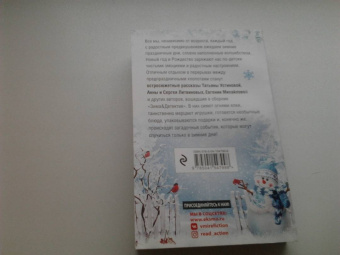 Устинова, Литвинова, Литвинов: Зима & Детектив