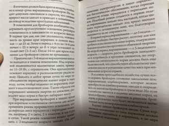 Эдуард Бондарев: Птицеводство для начинающих. Самое полное руководство по разведению кур, индеек и перепелов