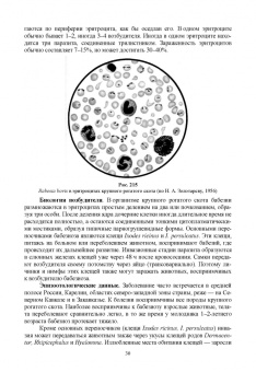 Латыпов, Волков, Тимербаева: Паразитология и инвазионные болезни животных. Том 2