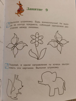 Наталия Володина: Пишу буквы. Для детей 5-6 лет