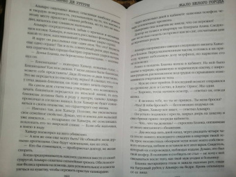 Гарсиа Саэнс де Уртури Эва: Жало белого города