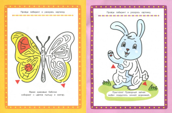 Цветной луг. Книжка-раскраска