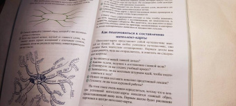 Тони Бьюзен: Руководство по развитию памяти и интеллекта