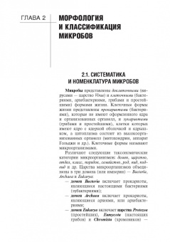 Зверев, Бойченко, Быков: Основы микробиологии и иммунологии. Учебник