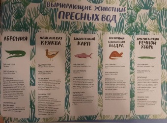 Изабелла Баннелл: На грани исчезновения