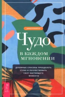 Дэвид Хоффмайстер: Чудо в каждом мгновении. Духовные способы преодолеть страх и почувствовать силу настоящего момента