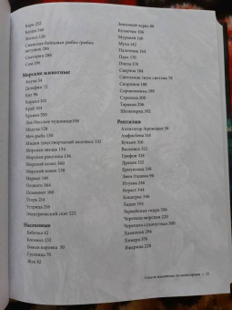 Мелисса Альварес: Как усилить свою энергию. 176 животных, которые станут вашими проводниками и хранителями