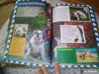 Собаки и щенки