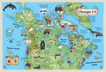 Паола Гримальди: Гигантский атлас животных мира