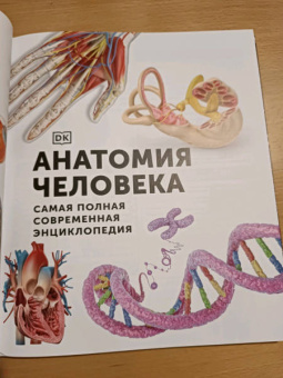 Клейборн, Фарндон, Френд: Анатомия человека. Самая полная современная энциклопедия