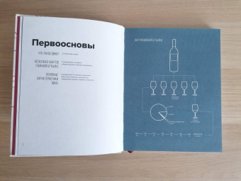 Пакетт, Хэммек: Вино. Практический путеводитель