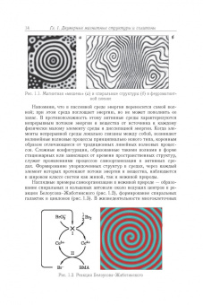 Борисов, Киселев: Двумерные и трехмерные топологические дефекты, солитоны и текстуры в магнетиках