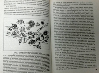 Савельева, Козаренко: Геология. Методы реконструкции прошлого Земли. Основы геотектоники. Геологическая история. Часть 1