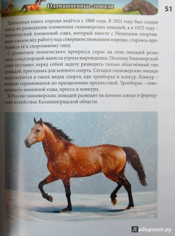 Леся Калугина: Хочу знать. Лошади