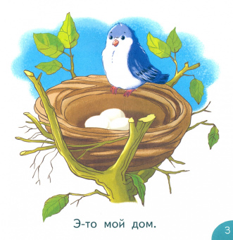 Этери Заболотная: Мой дом