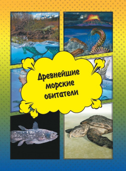 Ликсо, Кошевар: О подводном мире