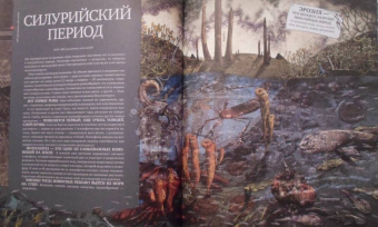 Катажина Баерович: История жизни на Земле