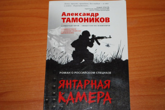 Александр Тамоников: Янтарная камера