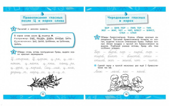 Александра Соболева: 100% грамотность. Нейропсихологический тренажер по чистописанию