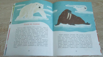 Илья Кочергин: Что такое Красная книга