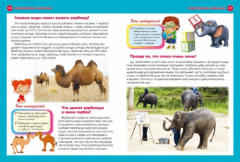 Тамара Скиба: Как? Что? Зачем? Почему? Новая детская энциклопедия