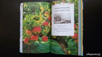 Новая Зеландия