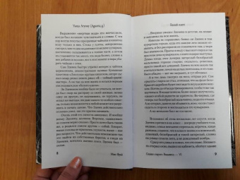 Макс Фрай: Сказки старого Вильнюса VI