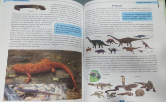 Мария Куруськина: Живая природа