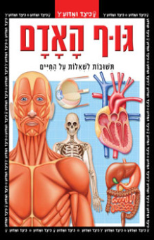 Тело человека | גוף האדם