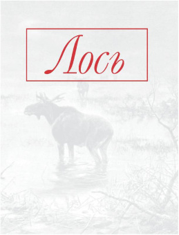 Олег Малов: Охота на парнокопытных