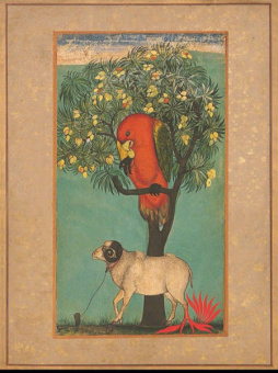 Индийские сказки