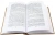 Константин Леонтьев: Полное собрание сочинений и писем в 12-ти томах. Том 10. Книга 2. Документы служебной деятельности