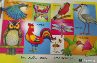 Bethan James: Бог создал меня