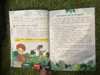 Елена Ульева: Порядок вокруг. Экологические сказки для детей