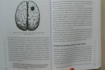 Пиз, Пиз: Язык взаимоотношений. Как научиться общаться с противоположным полом