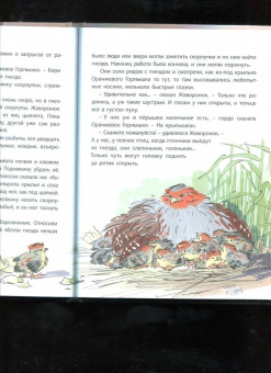 Виталий Бианки: Оранжевое Горлышко