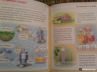 Марина Султанова: Удивительные превращения. Как производят продукты питания