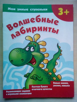 Валентина Дмитриева: Волшебные лабиринты