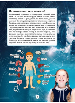 Кошевар, Тамашова: Тело человека