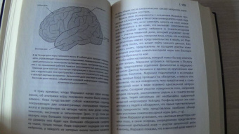 Эрик Кандель: В поисках памяти