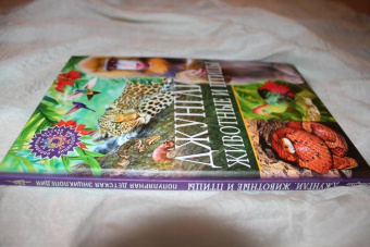 Джунгли. Животные и птицы