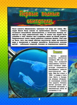 Ликсо, Кошевар: О подводном мире