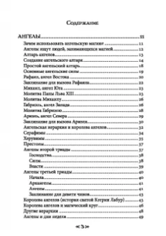 Олег Чуруксаев: Школа Ворона и Волка. Том 10. Ангельская магия и книга заклинаний